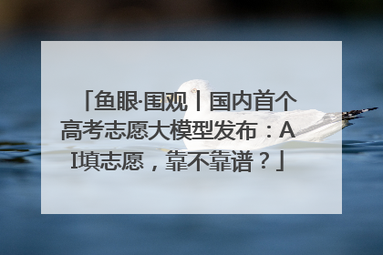 鱼眼·围观丨国内首个高考志愿大模型发布：AI填志愿，靠不靠谱？