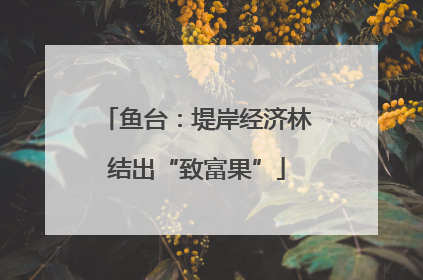 鱼台：堤岸经济林结出“致富果”