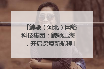 鲸驰（河北）网络科技集团：鲸驰出海，开启跨境新航程