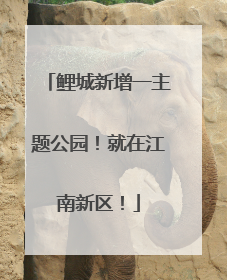 鲤城新增一主题公园！就在江南新区！
