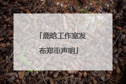 鹿晗工作室发布郑重声明
