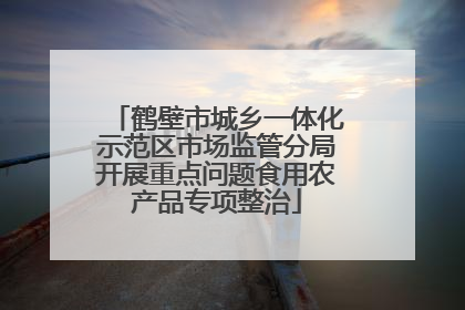 鹤壁市城乡一体化示范区市场监管分局开展重点问题食用农产品专项整治