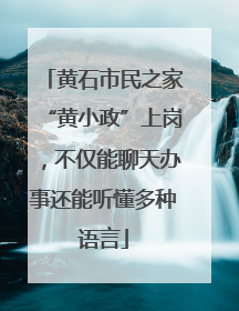 黄石市民之家“黄小政”上岗，不仅能聊天办事还能听懂多种语言