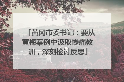 黄冈市委书记：要从黄梅案例中汲取惨痛教训，深刻检讨反思