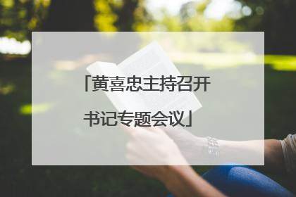 黄喜忠主持召开书记专题会议