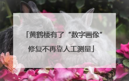 黄鹤楼有了“数字画像” 修复不再靠人工测量