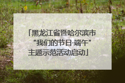 黑龙江省暨哈尔滨市“我们的节日·端午”主题示范活动启动