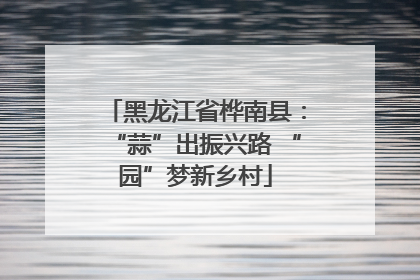 黑龙江省桦南县：“蒜”出振兴路 “园”梦新乡村