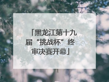 黑龙江第十九届“挑战杯”终审决赛开幕