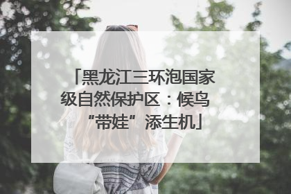 黑龙江三环泡国家级自然保护区：候鸟“带娃”添生机