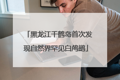 黑龙江千鹤岛首次发现自然界罕见白鸬鹚
