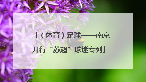 （体育）足球——南京开行“苏超”球迷专列