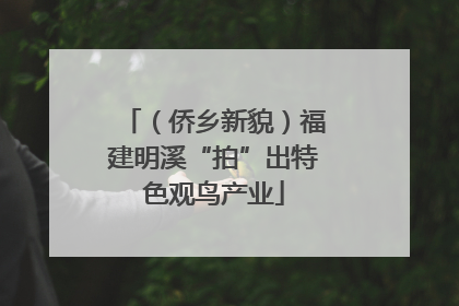 （侨乡新貌）福建明溪“拍”出特色观鸟产业