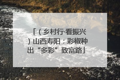 （乡村行·看振兴）山西寿阳：彩椒种出“多彩”致富路