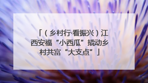 （乡村行·看振兴）江西安福“小西瓜”撬动乡村共富“大支点”