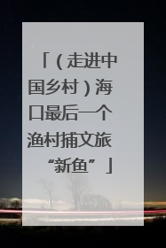 （走进中国乡村）海口最后一个渔村捕文旅“新鱼”