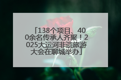 138个项目、400余名传承人齐聚！2025大运河非遗旅游大会在聊城举办