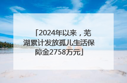 2024年以来，芜湖累计发放孤儿生活保障金2758万元