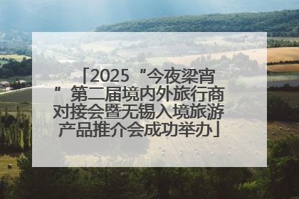 2025“今夜梁宵”第二届境内外旅行商对接会暨无锡入境旅游产品推介会成功举办