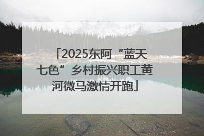 2025东阿“蓝天七色”乡村振兴职工黄河微马激情开跑