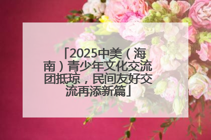 2025中美（海南）青少年文化交流团抵琼，民间友好交流再添新篇
