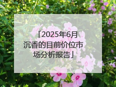 2025年6月沉香的目前价位市场分析报告