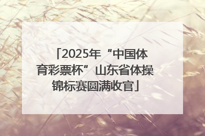2025年“中国体育彩票杯”山东省体操锦标赛圆满收官
