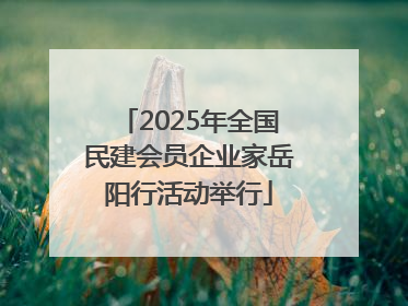 2025年全国民建会员企业家岳阳行活动举行