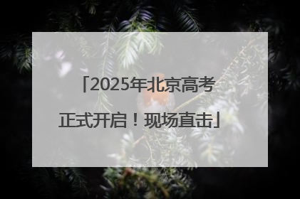 2025年北京高考正式开启！现场直击