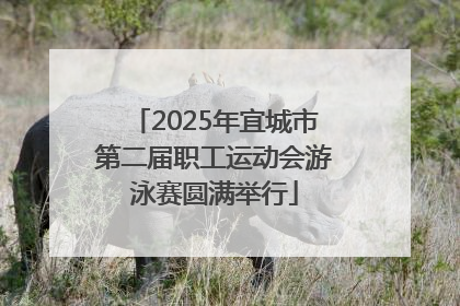 2025年宜城市第二届职工运动会游泳赛圆满举行