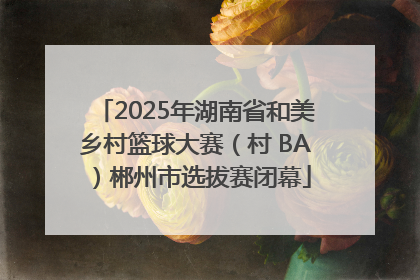 2025年湖南省和美乡村篮球大赛（村 BA）郴州市选拔赛闭幕