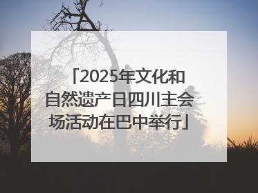 2025年文化和自然遗产日四川主会场活动在巴中举行