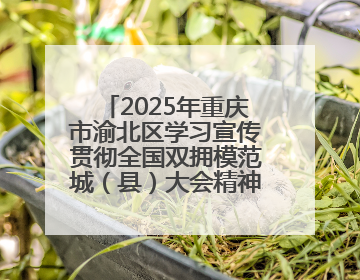 2025年重庆市渝北区学习宣传贯彻全国双拥模范城（县）大会精神暨“心系国防 强国有我”国防教育活动