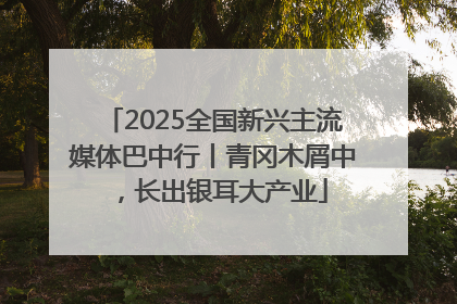 2025全国新兴主流媒体巴中行丨青冈木屑中，长出银耳大产业