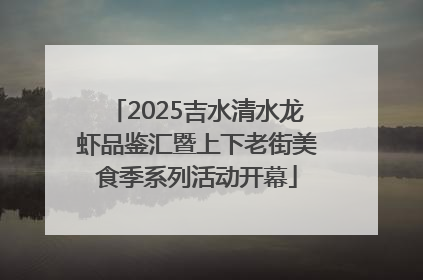2025吉水清水龙虾品鉴汇暨上下老街美食季系列活动开幕
