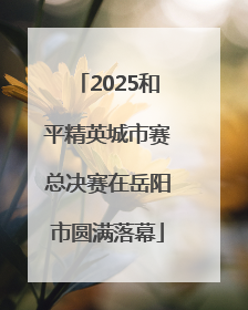 2025和平精英城市赛总决赛在岳阳市圆满落幕
