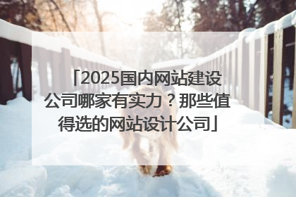 2025国内网站建设公司哪家有实力？那些值得选的网站设计公司