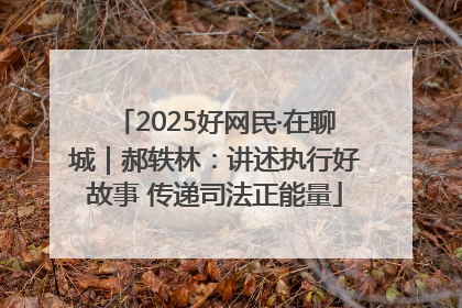 2025好网民·在聊城｜郝轶林：讲述执行好故事 传递司法正能量