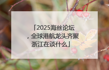 2025海丝论坛，全球港航龙头齐聚浙江在谈什么