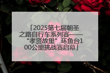 2025第七届朝圣之路自行车系列赛——“孝贤故里”环鱼台100公里挑战赛启幕