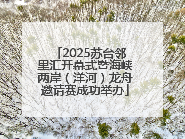 2025苏台邻里汇开幕式暨海峡两岸（洋河）龙舟邀请赛成功举办
