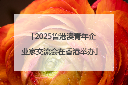 2025鲁港澳青年企业家交流会在香港举办