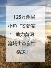 25万余尾小鱼“安新家” 助力黄河流域生态良性循环