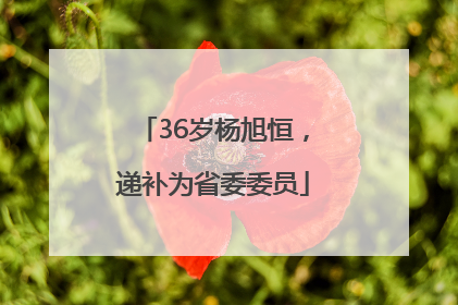 36岁杨旭恒，递补为省委委员