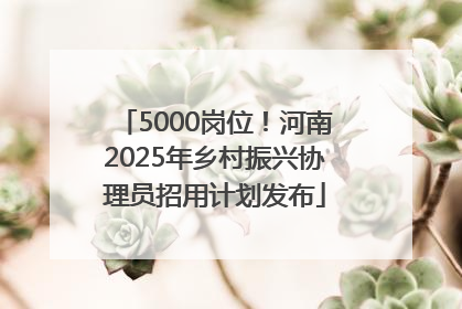 5000岗位！河南2025年乡村振兴协理员招用计划发布