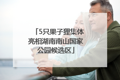 5只果子狸集体亮相湖南南山国家公园候选区