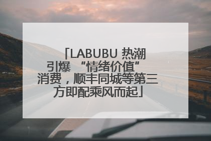 LABUBU 热潮引爆 “情绪价值” 消费，顺丰同城等第三方即配乘风而起