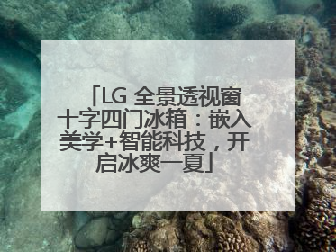 LG 全景透视窗十字四门冰箱：嵌入美学+智能科技，开启冰爽一夏