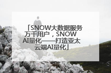 SNOW大数据服务万千用户，SNOW AI量化——打造亚太云端AI量化