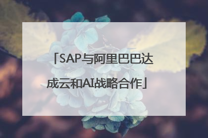 SAP与阿里巴巴达成云和AI战略合作
